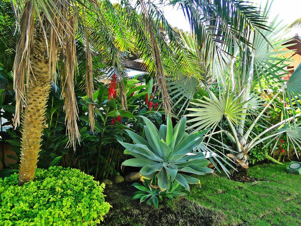 Pousada Marbella Inn Búzios Exterior foto